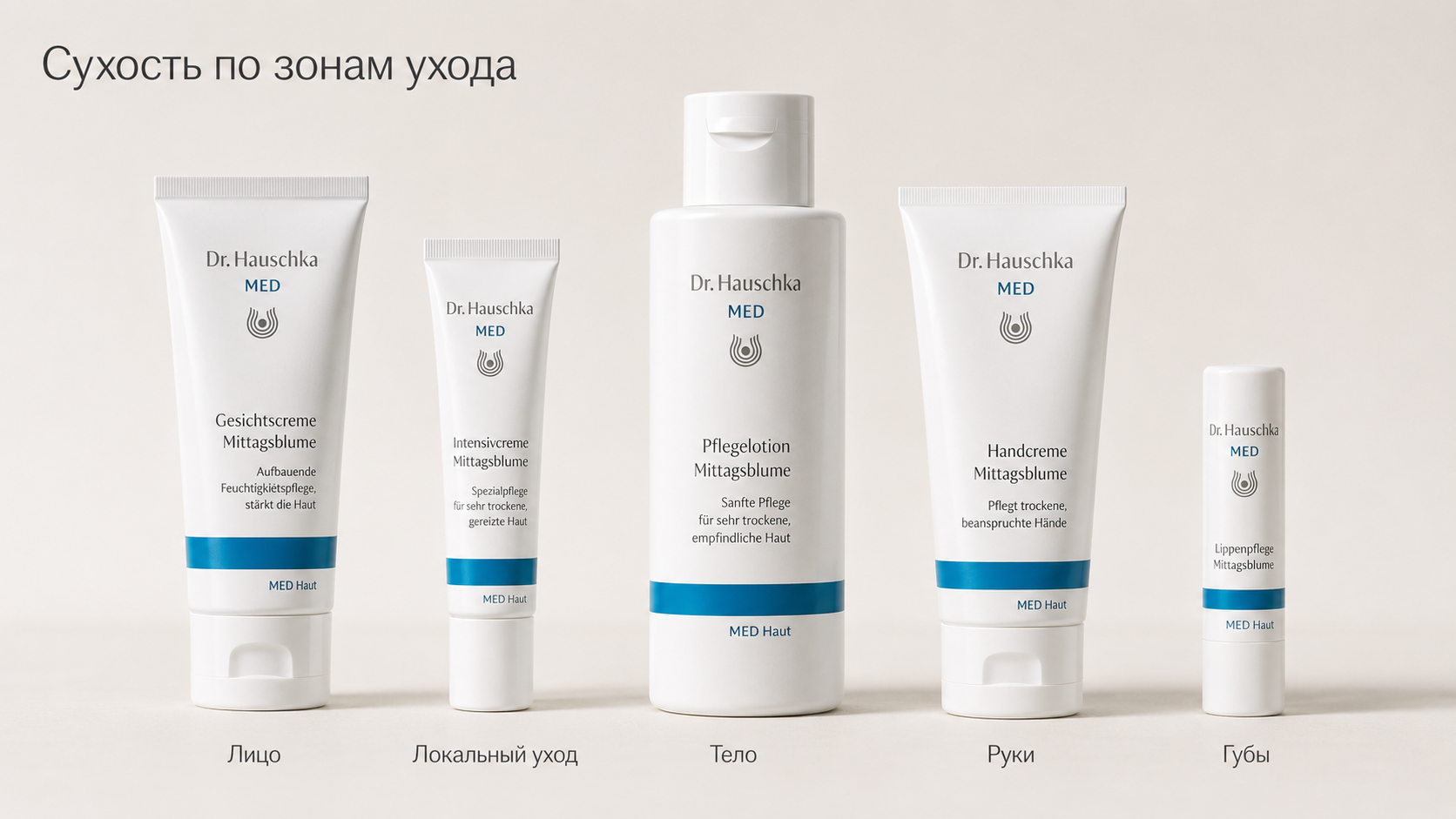 Сначала определите зону и выраженность сухости Сначала определите зону и выраженность сухости