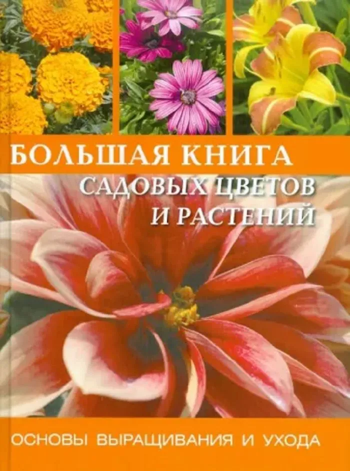 Энциклопедия садовых растений | Растения, Садовые растения, Цветник