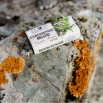 Мыло "МОЖЖЕВЕЛЬНИК" сувенирное