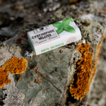 Мыло "МЯТА/МЕЛИССА" сувенирное