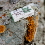 Мыло "ПИХТА" сувенирное