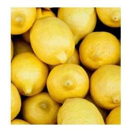 Yodeyma Freshia Eau de Parfum, Объем: 15, изображение 3