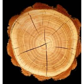 Yodeyma Metal Sport Eau de Parfum, Объем: 100, изображение 4