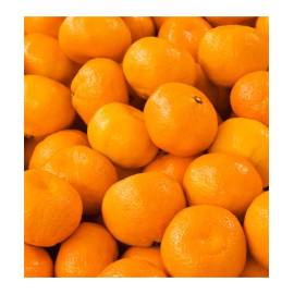 Yodeyma Notion Woman Eau de Parfum, Объем: 15, изображение 3