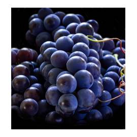 Yodeyma Sexy Rose Eau de Parfum, Объем: 15, изображение 3