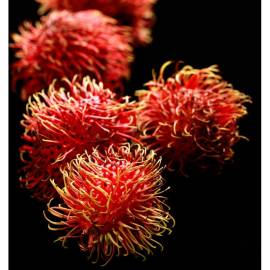 Yodeyma Sophisticate Eau de Parfum, Объем: 15, изображение 4