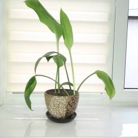 Пленка ПВХ 140х30 см, Рисунок: без рисунка, Варианты: Пленка ПВХ 140х30 см, Цвет: прозрачный, изображение 6