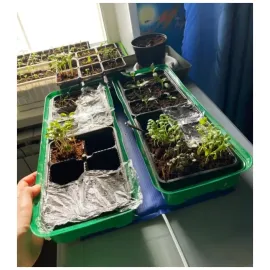 Электроподогреватель для проращивания семян рассады 75х50 см, Варианты: подогреватель 75х50 см, Цвет: синий, изображение 10