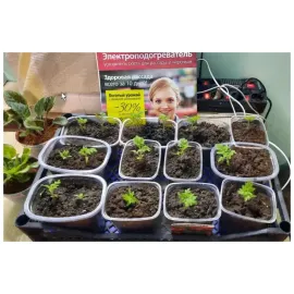 Электроподогреватель для проращивания семян рассады 75х50 см, Варианты: подогреватель 75х50 см, Цвет: синий, изображение 11