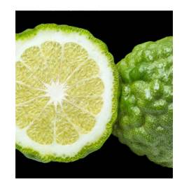 Yodeyma Notion Eau de Parfum, Объем: 15, изображение 3