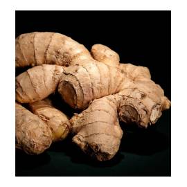 Yodeyma Notion Eau de Parfum, Объем: 15, изображение 4