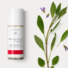 Дезодорант Мята и Шалфей Dr. Hauschka, Варианты: Дезодорант Мята и Шалфей Dr. Hauschka, изображение 2