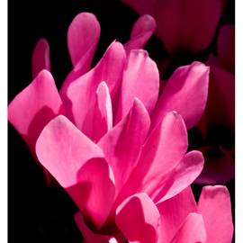 Yodeyma Acqua Per Uomo Eau de Parfum, Объем: 15, изображение 5