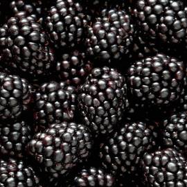 Yodeyma Mia Eau de Parfum, Объем: 15, изображение 3