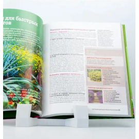 1001 совет Как создать сад мечты