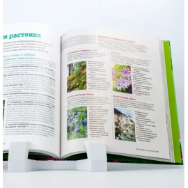 1001 совет Как создать сад мечты