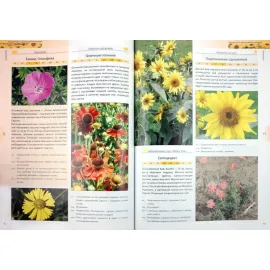 Большая книга садовых цветов и растений