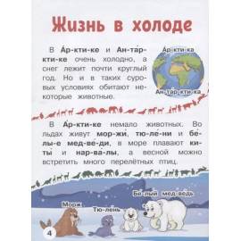 Первая книга с крупными буквами. Животные.