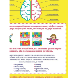 Развиваем левое полушарие мозга ребенка за 12 недель