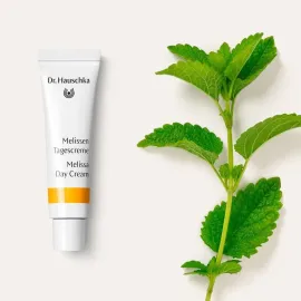 Крем для лица Мелисса Dr. Hauschka, Варианты: Крем для лица Мелисса, Объем: 5, изображение 3