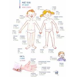 Словарь в картинках. Добро пожаловать в Кукуево! (рус., англ., франц.)