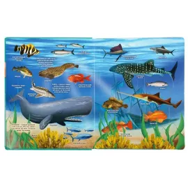 100 окошек для малышей. Тайны подводного мира. (Умка), изображение 2