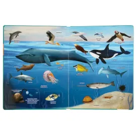 100 окошек для малышей. Тайны подводного мира. (Умка)