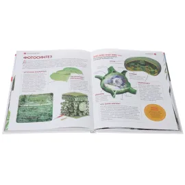 Большая детская энциклопедия Владис. Горы, леса и растительный мир.