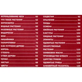 Большая детская энциклопедия Владис. Горы, леса и растительный мир.