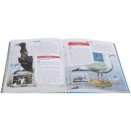 Большая энциклопедия Животные