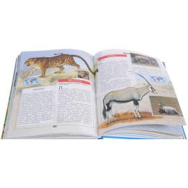 Большая энциклопедия Животные