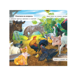 Большие буквы большие картинки. Первая книга после букваря