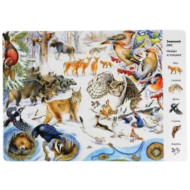 Виммельбух. Найди и покажи. Животные. Умка