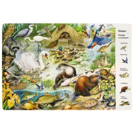 Виммельбух. Найди и покажи. Животные. Умка