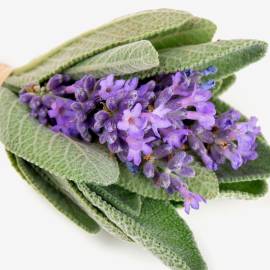 Yodeyma Houston Eau de Parfum, Объем: 15, изображение 3