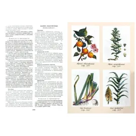 Золотая энциклопедия народной медицины