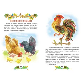 Книга подарок. Жили были