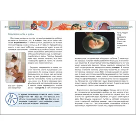 Лучшая детская энциклопедия человек