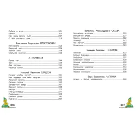 Любимые страницы. Внеклассное чтение. Русич