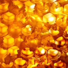 Yodeyma Dauro For Her Eau de Parfum, Объем: 15, изображение 5