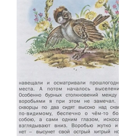 Любимые страницы. Домашнее чтение. Русич