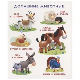 Моя первая книга о природе