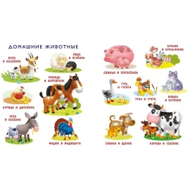 Моя первая книга о природе