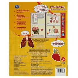 Музыкальная книжка. Тело человека. 10 кнопок. УМКА, изображение 5