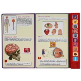 Музыкальная книжка. Тело человека. 10 кнопок. УМКА, изображение 3