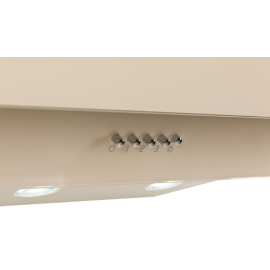 Наклонная вытяжка NS-60I (FR)