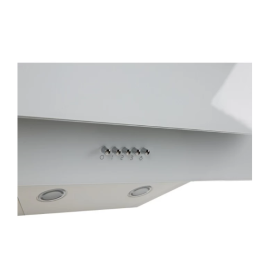 Наклонная вытяжка NS-60W (FR)