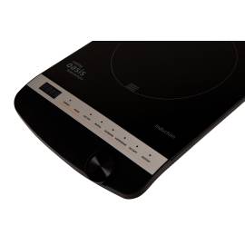 Индукционная плита Oasis РI-B3SK