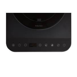 Индукционная плита Oasis РI-BK3S