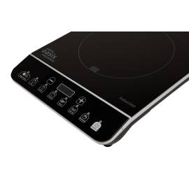 Индукционная плита Oasis РI-BS3SИндукционная плита Oasis РI-BS3S